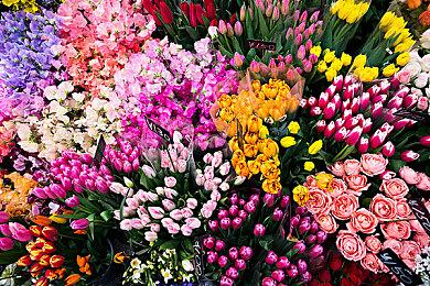 E3 2021：《荒神2》加长版预告片 展示完整任务流程