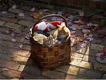 新模式首曝！太空0重力FPS《边境》亮相ChinaJoy