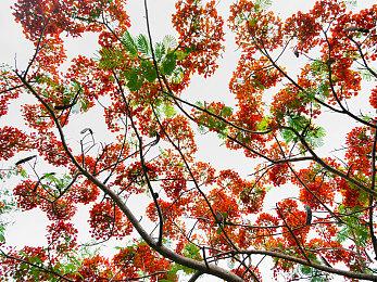 《七日世界》移动端测试9月20日开启 PC版现已支持DLSS 3